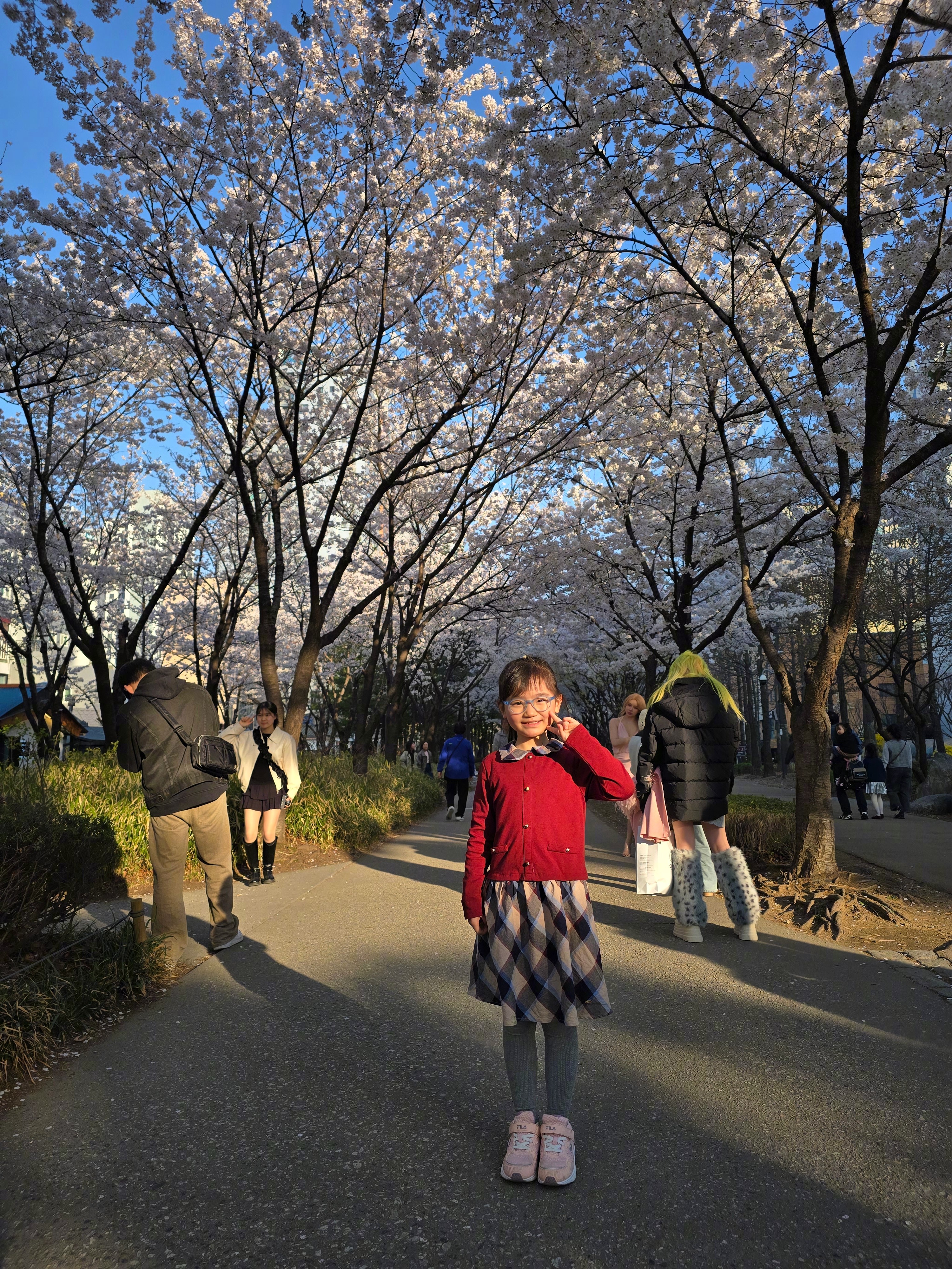 今日份樱花季！