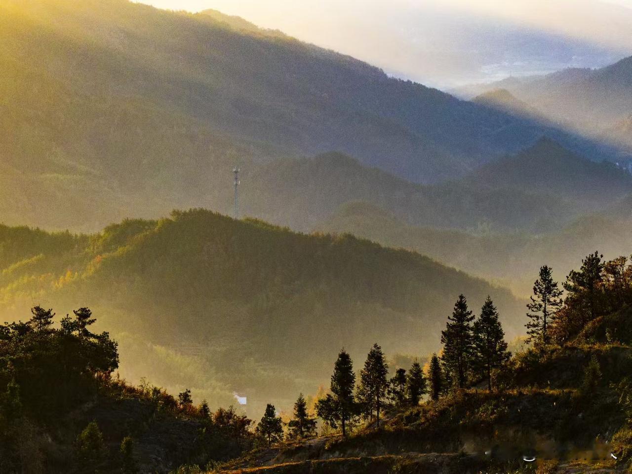 老了才懂得：子女孝顺，不是你说过什么，而是做过什么手里有什么人老了，需要子女