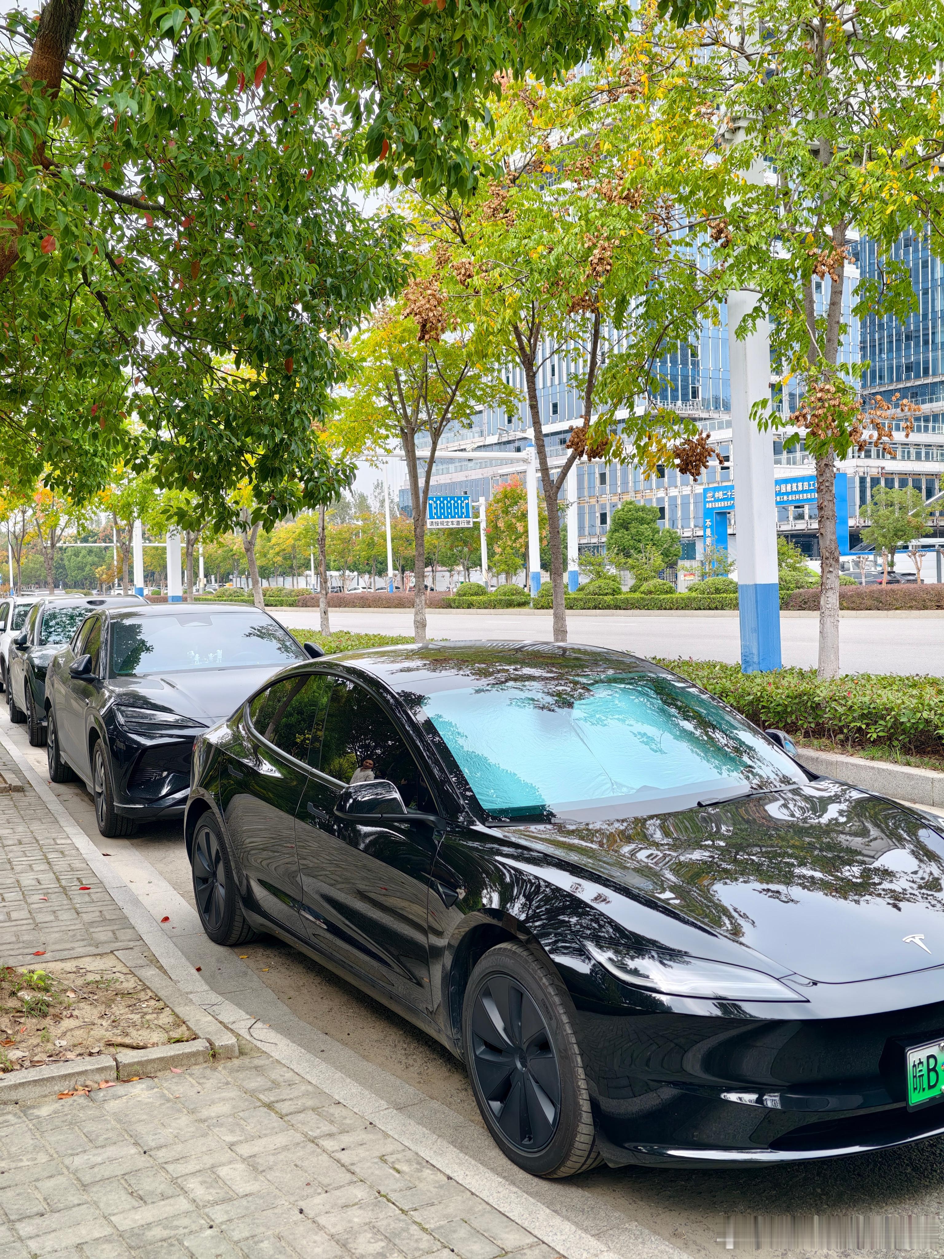 一时之间仿佛要长脑子了我与汽车的日常​​​