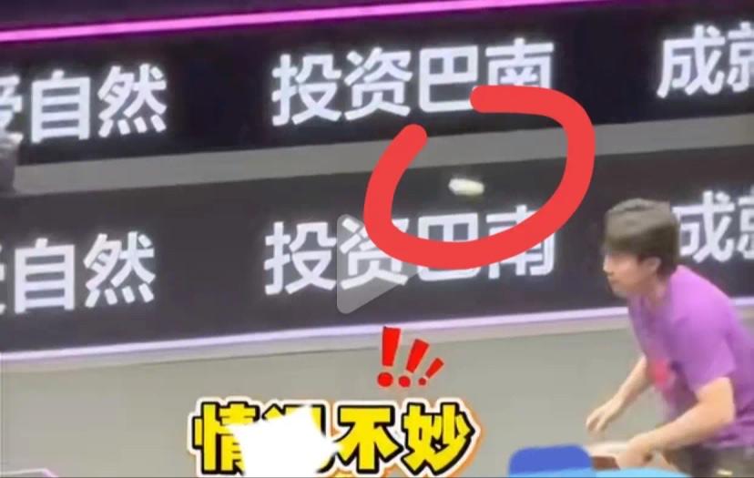 重庆冠军赛王楚钦上训，情况不妙被球击中，还是2次，先头部再脸部，看着都疼。