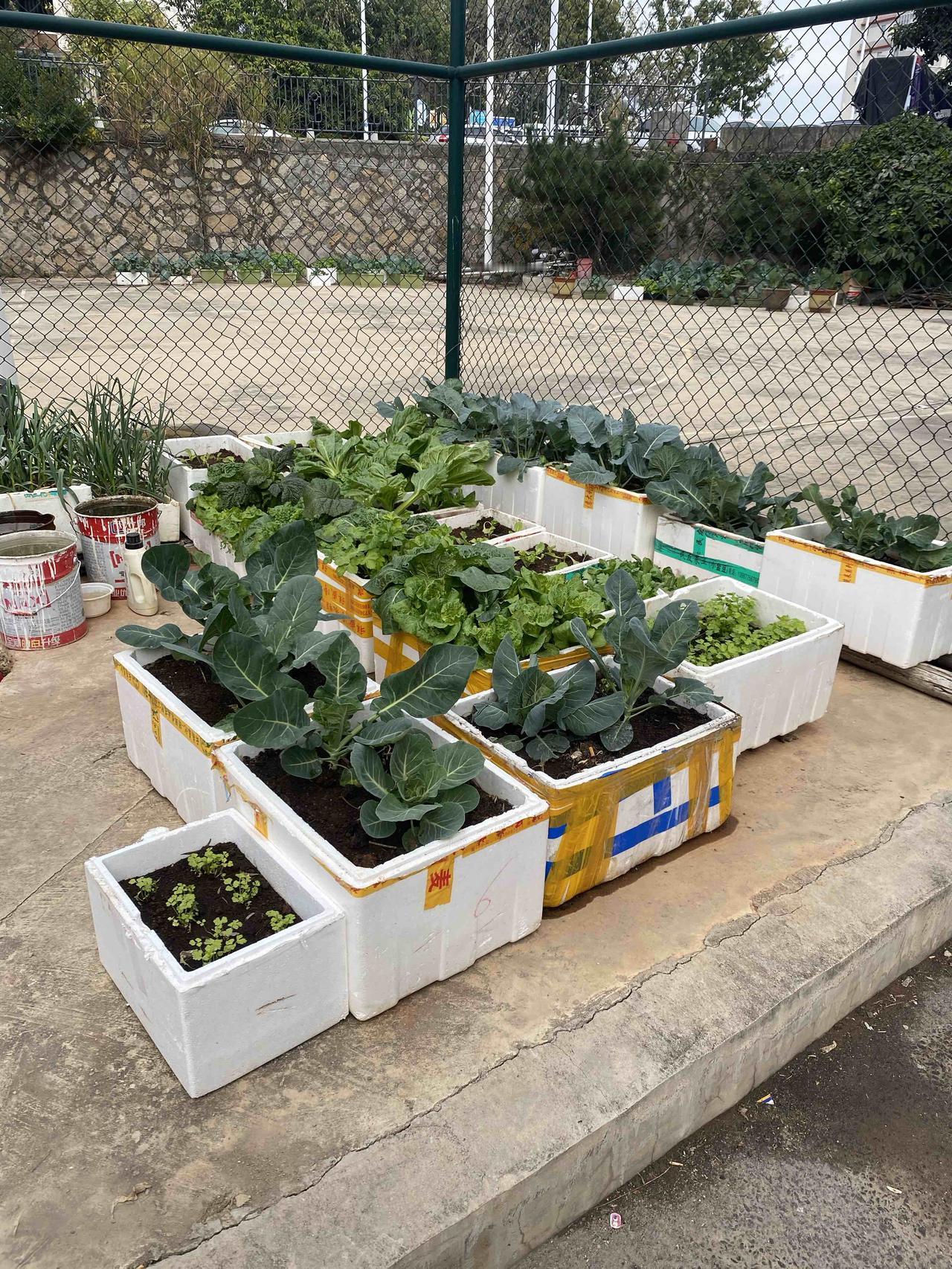 有位移民美国十六年的朋友，声嘶力竭地在群里强调，美国根本没有“斩杀线”，从来都没