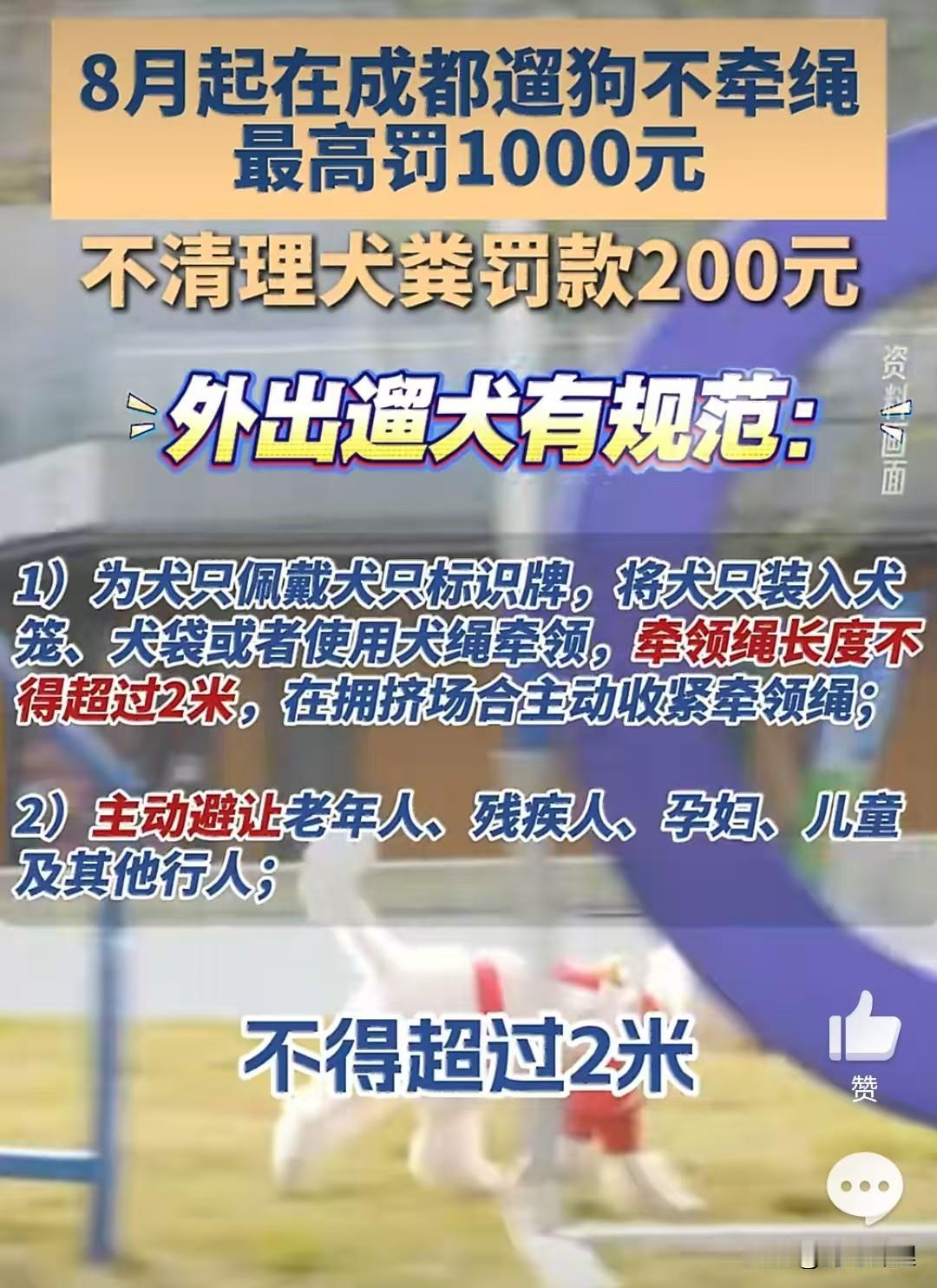 养狗人注意了！成都这回是动真格的了，8月1号起，养狗的规矩直接从建议变成