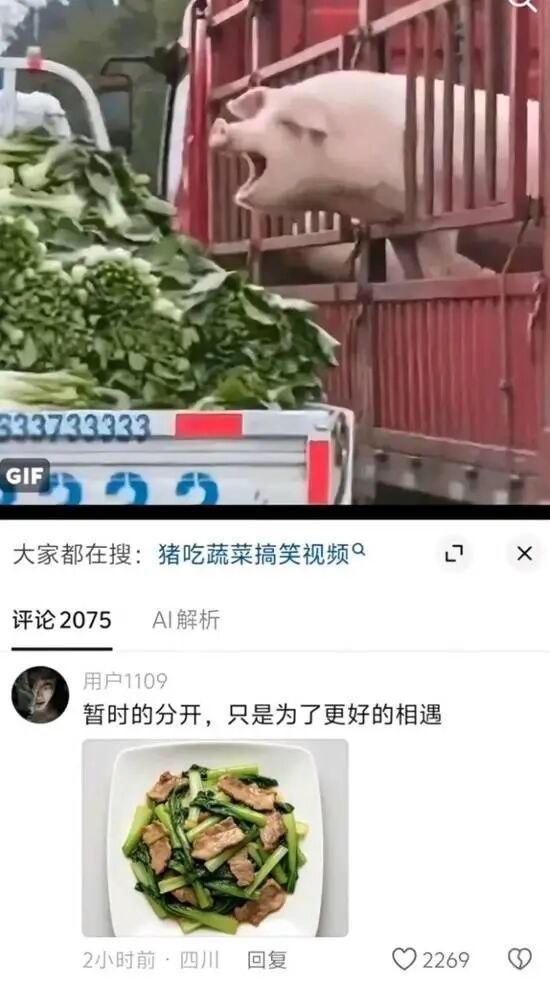 一切都是命运的安排