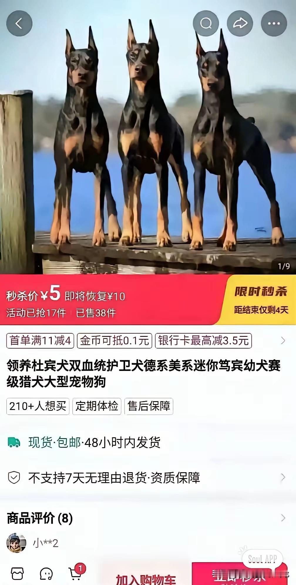 真是一分钱一分货啊[捂脸哭]