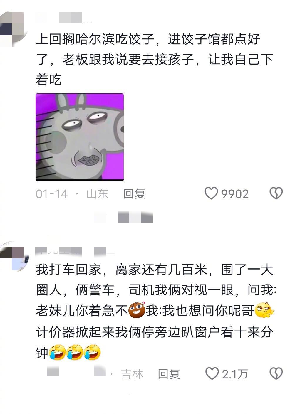 东北人的超绝松弛感