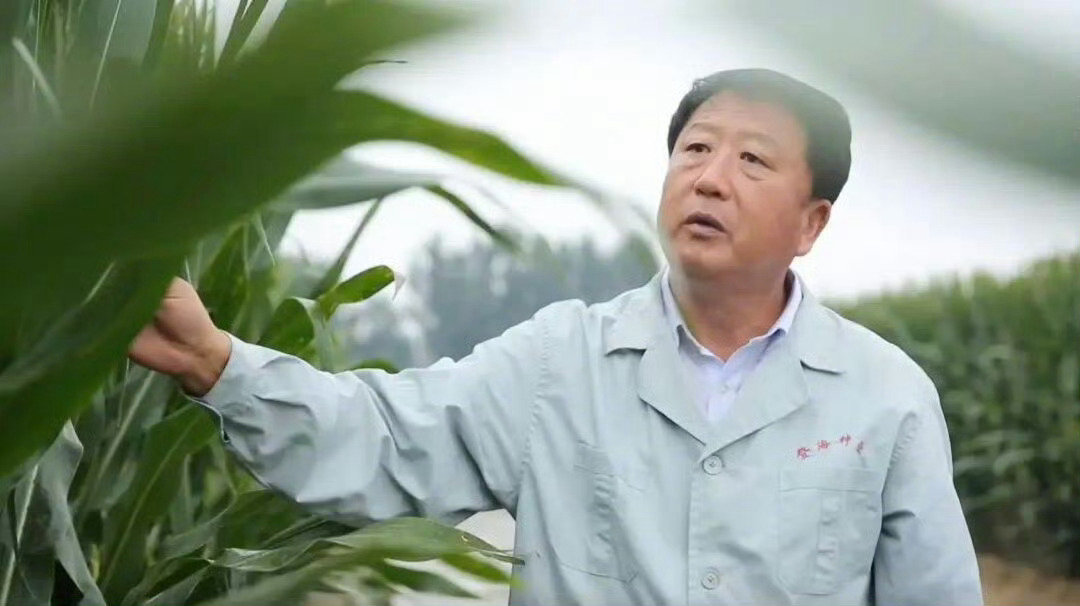 原来我们餐桌上的底气藏在山东的一粒粒种子里！小麦、大豆、玉米，还有畜禽水产良种接连突破，不少品种打破