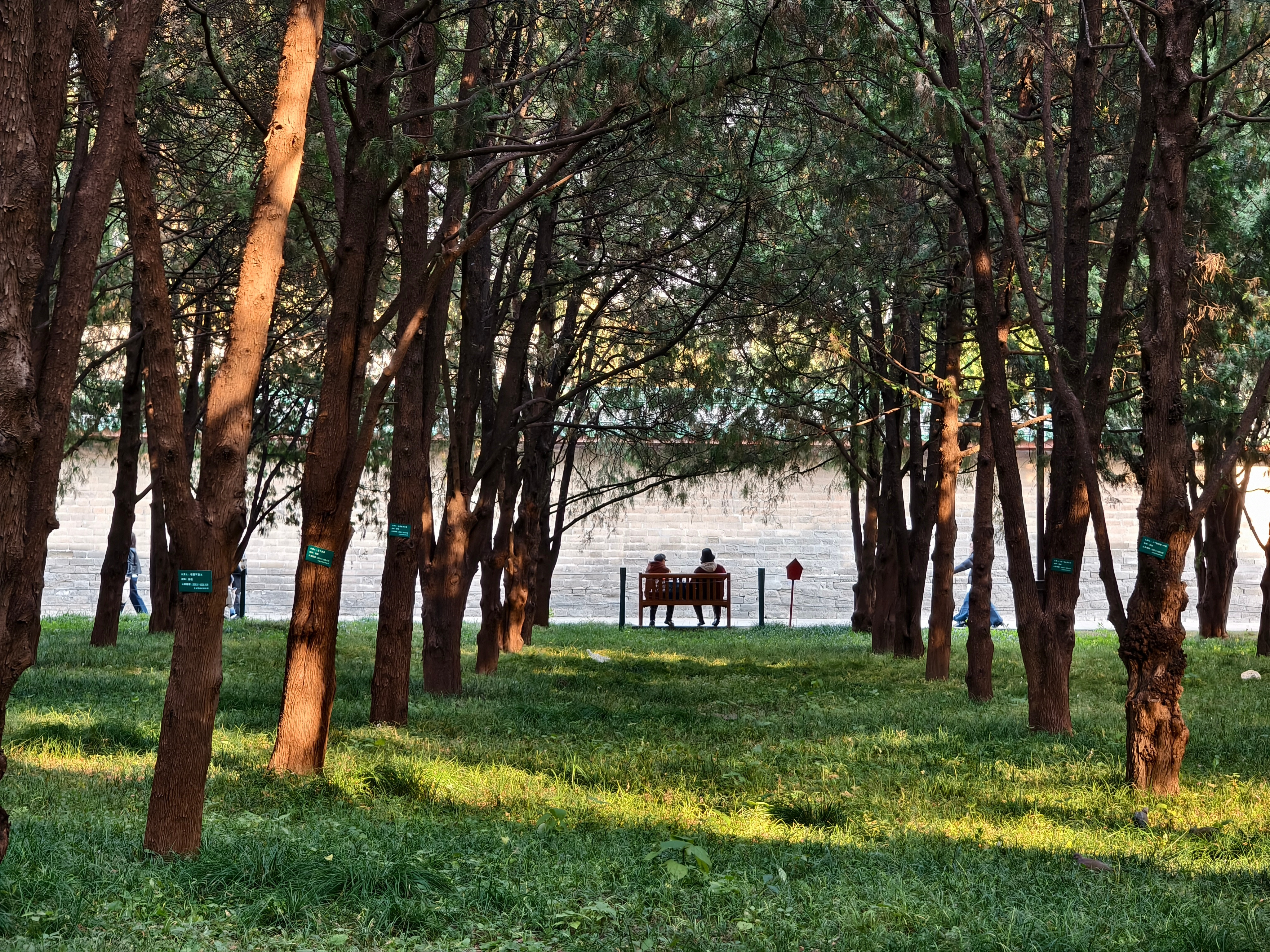 更正一下这才是地坛公园的海🌊​​​