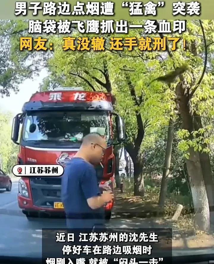 看完直接傻眼了！近日，江苏苏州一名男子在路边抽烟时，突然头顶被猛地抓了一下，顿时