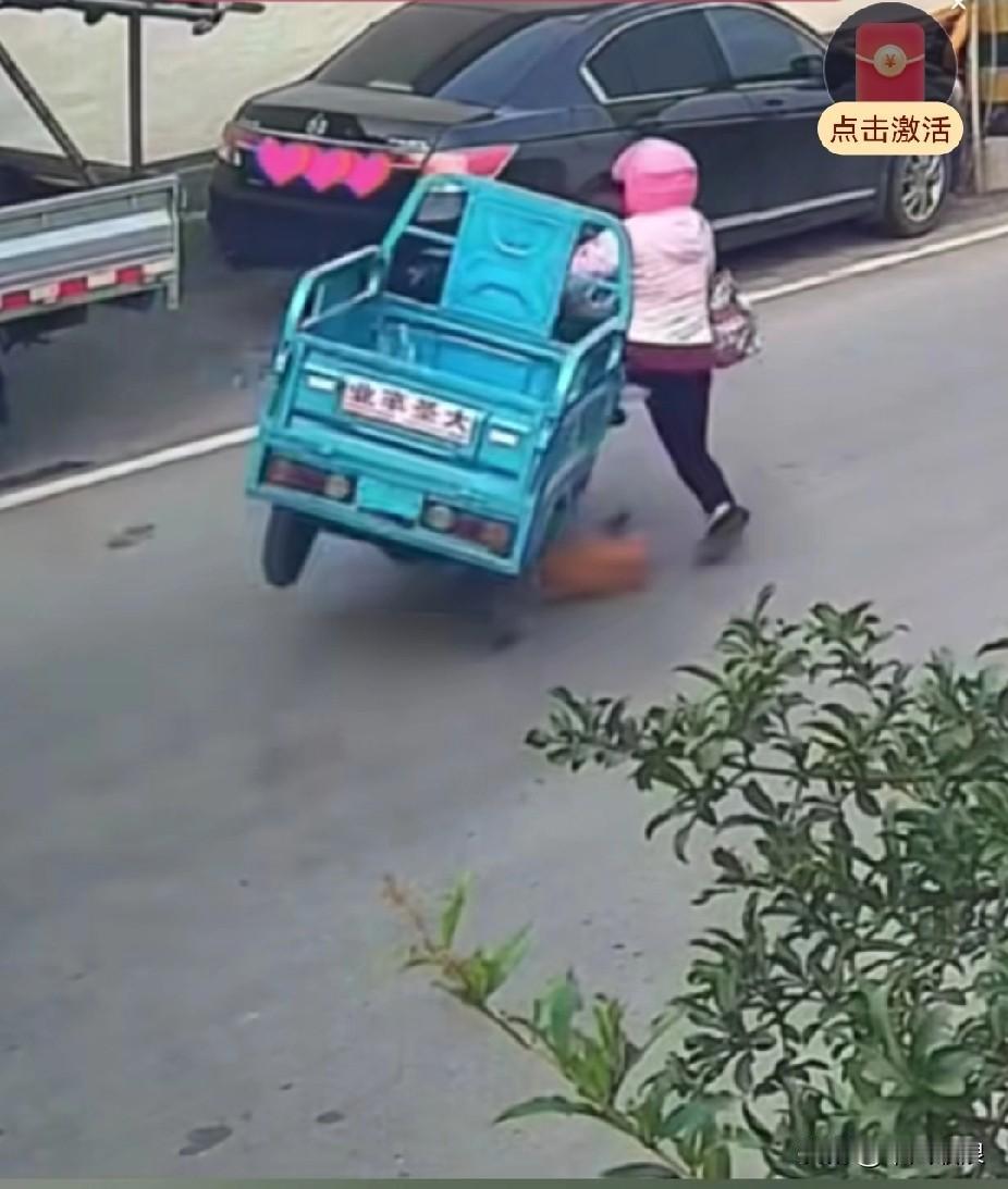 两只狗狗在马路上相互追咬嬉戏，不料下一秒，被一位女司机连人带车压在了三轮车底下，