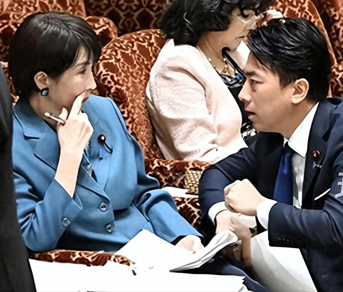 出大事了，高市国会翻车，大臣单膝跪地解围，80万亿投资坑惨百姓12月16日的