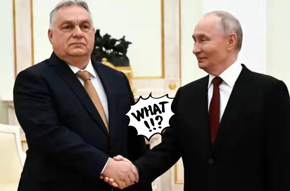 彭博社消息，匈牙利独立调查机构OUCK公布的最新民调（均为已决定投票选民样本）显