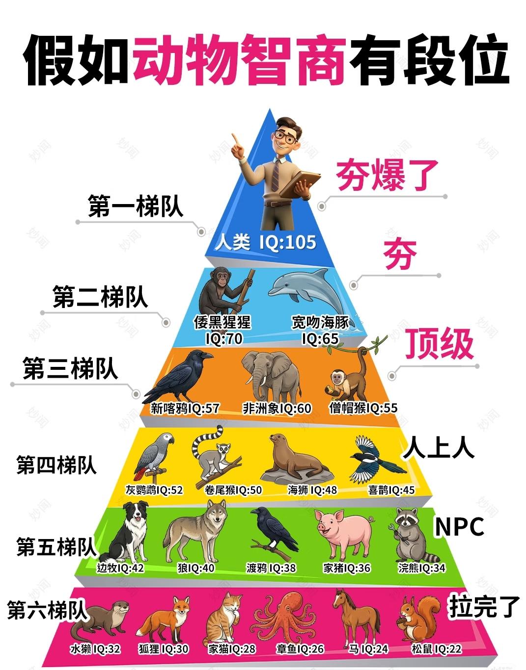 如果没有人类，章鱼可以统治地球[捂脸哭]