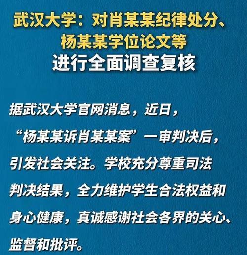 我看了处理决定，几乎是不痛不痒的，只是撤消了对肖同学的处分，谁来补偿他这么久遭到