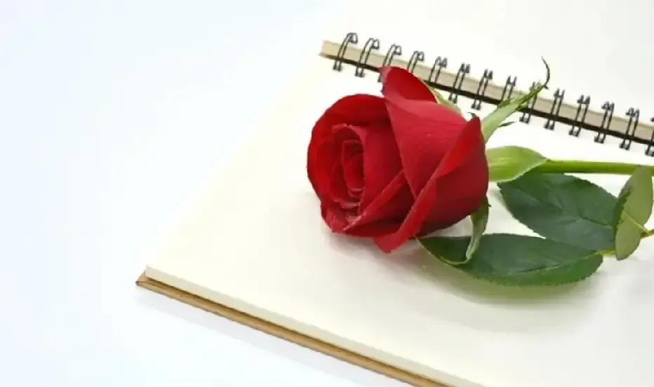 刷到个帖子说六成多男的关灯前会顺手把胳膊往老婆腰上一搭。我瞄了眼身边那位，果然