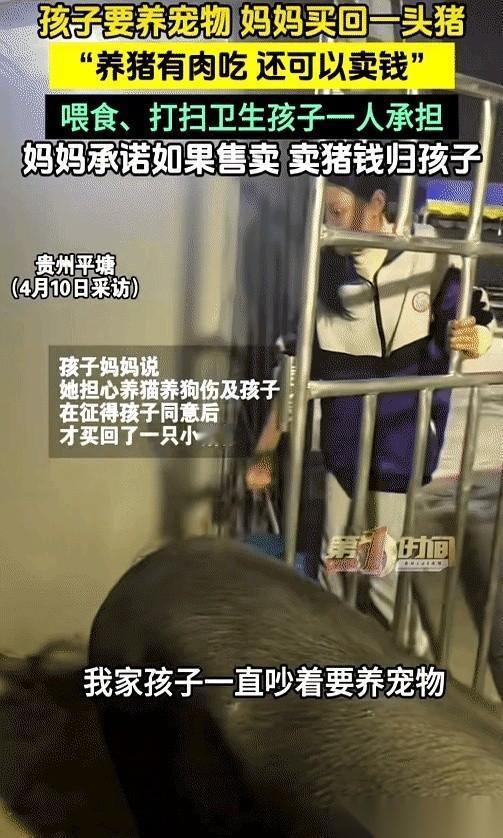 贵州一个当妈的，真把我看服了。女儿跑过来说：“妈，我想养个宠物。”她没点头，也
