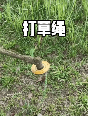 希望国家多发明高科技除草的工具，不要用除草剂，除草剂太毒了，对水源也有影响，对土