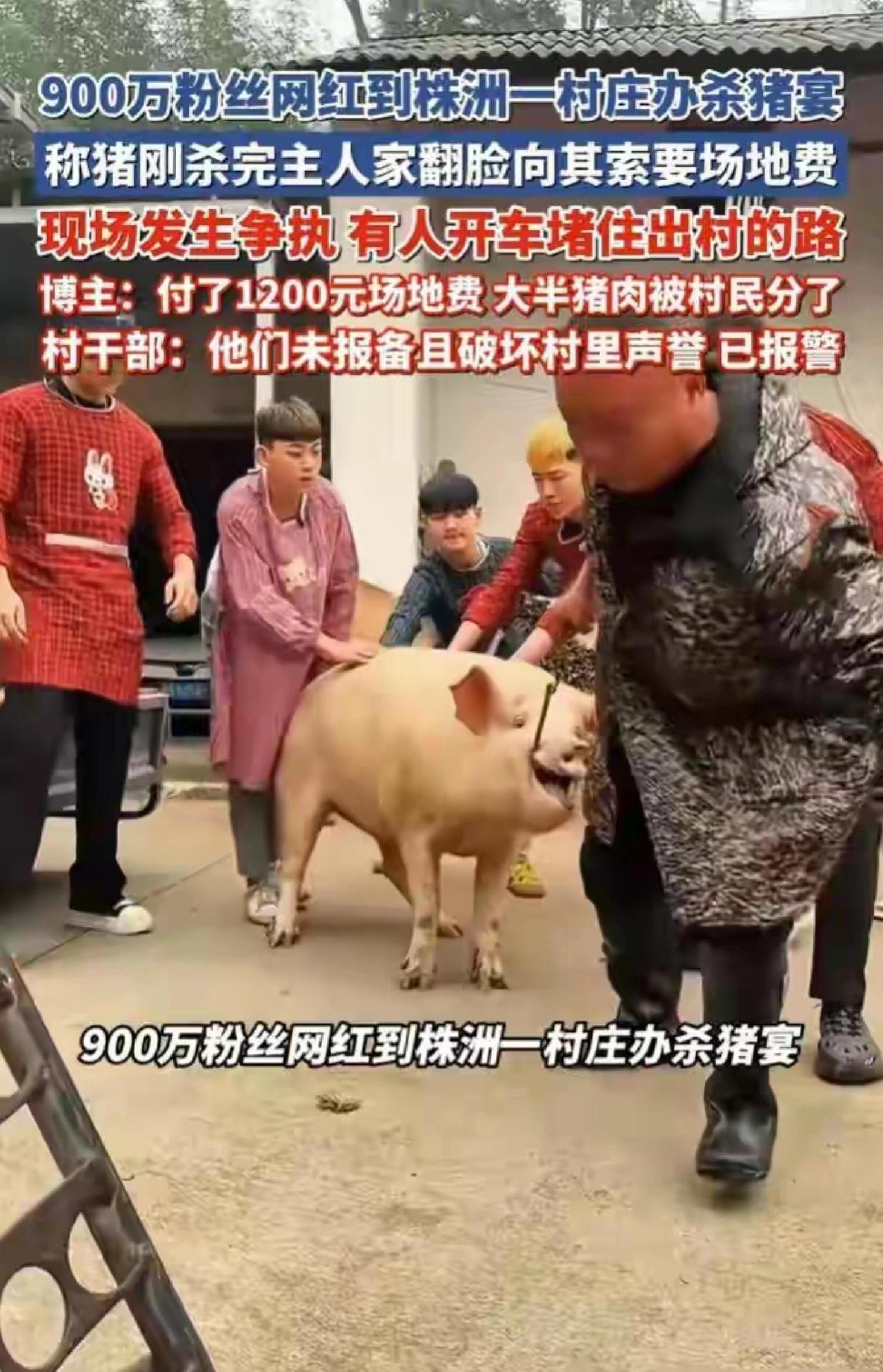 网红团队“红雨”2026年1月跑到株洲一个村里，自己掏钱买了头大猪，说要请全村吃