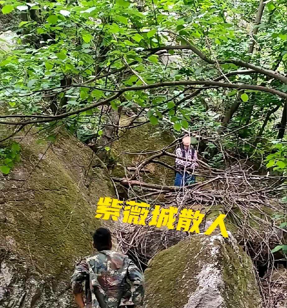 奇迹！郑州一女子到洛阳栾川游玩时因误入原始森林，结果被困5天4夜！