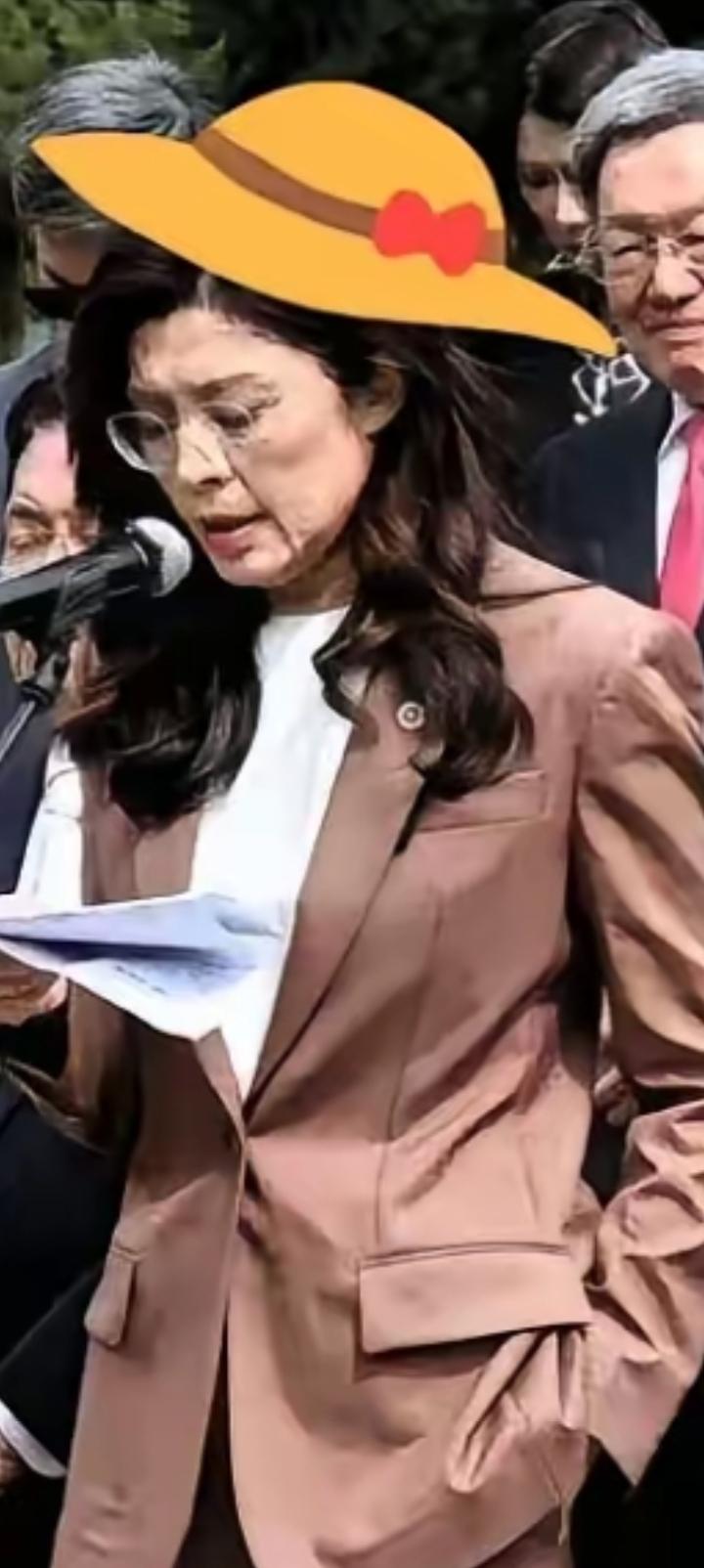 郑丽文猛打一个激灵，再不能一块石头绊倒两次。拒见日本窜台代表团，总算保住了国民