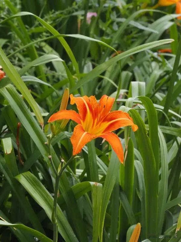 不管和谁相处都必须牢记这三十条忠告：1.不要跟好朋友一起做生意，利益面前感