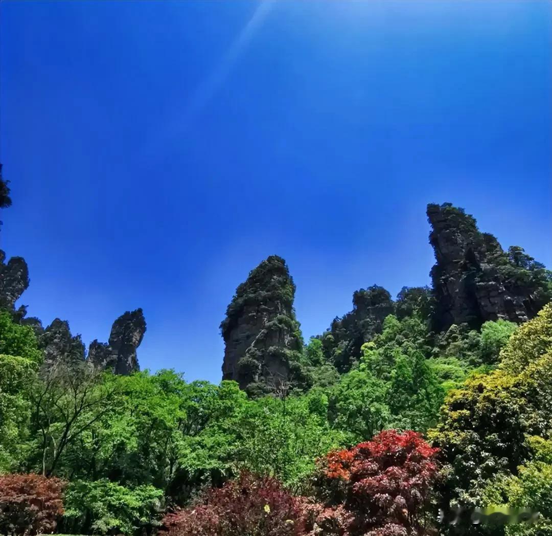 五一的账，不算不知道，一算吓一跳。五一期间，姐姐和姐夫厂里放两天假，他们又请