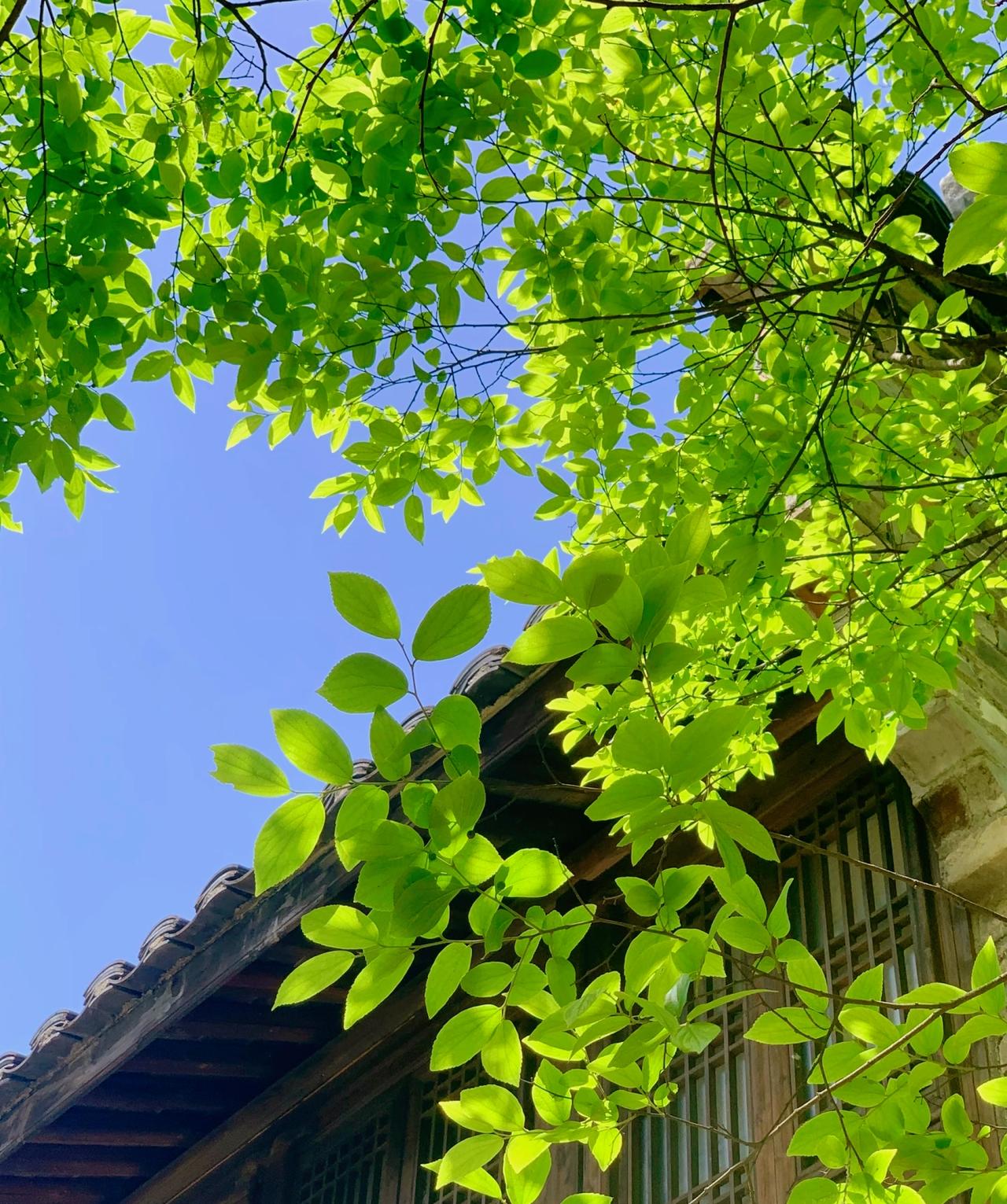 刘震云：）人不过是会隐藏欲望的兽，蛤蟆穿上金装，道貌岸然坐高堂。骆驼背着行囊