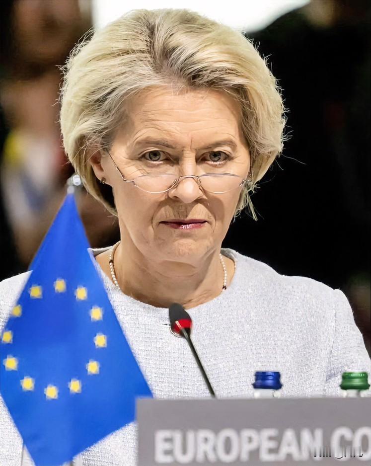 一针见血啊!奥地利前外长克奈斯尔认为在欧盟主席冯德莱恩等人的带领之下,欧盟正在逐