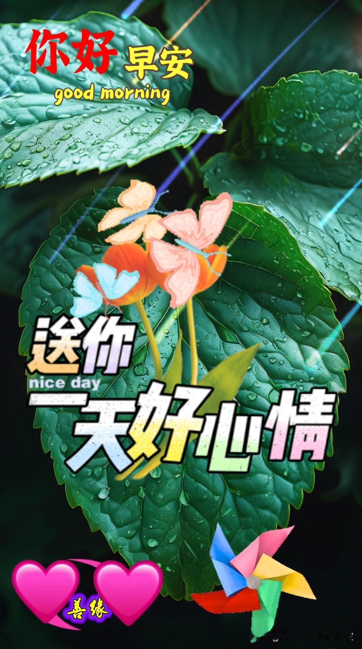 这是一些温馨励志的每日早安晨语，愿友友们每天都充满能量和好心情：[祈祷]早安