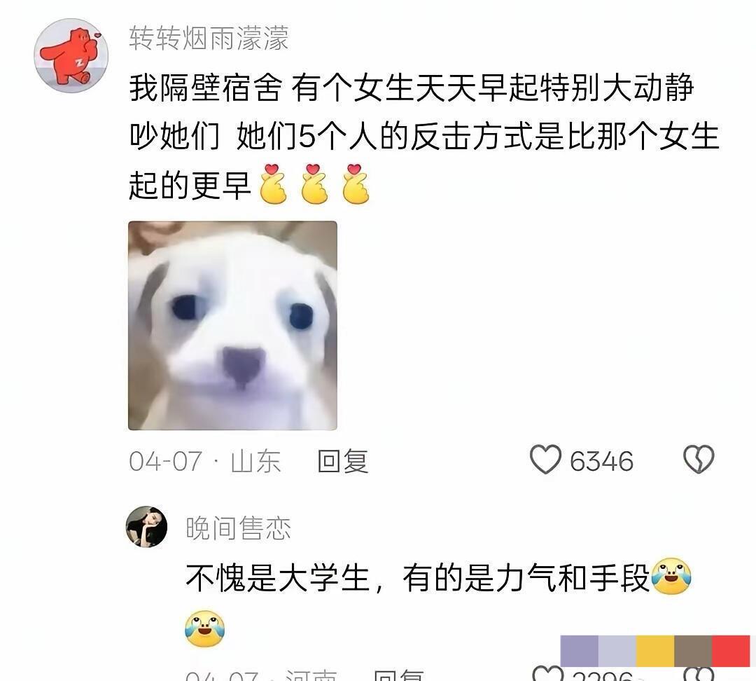 发现了世界上最窝囊的评论区哈哈哈哈​​​