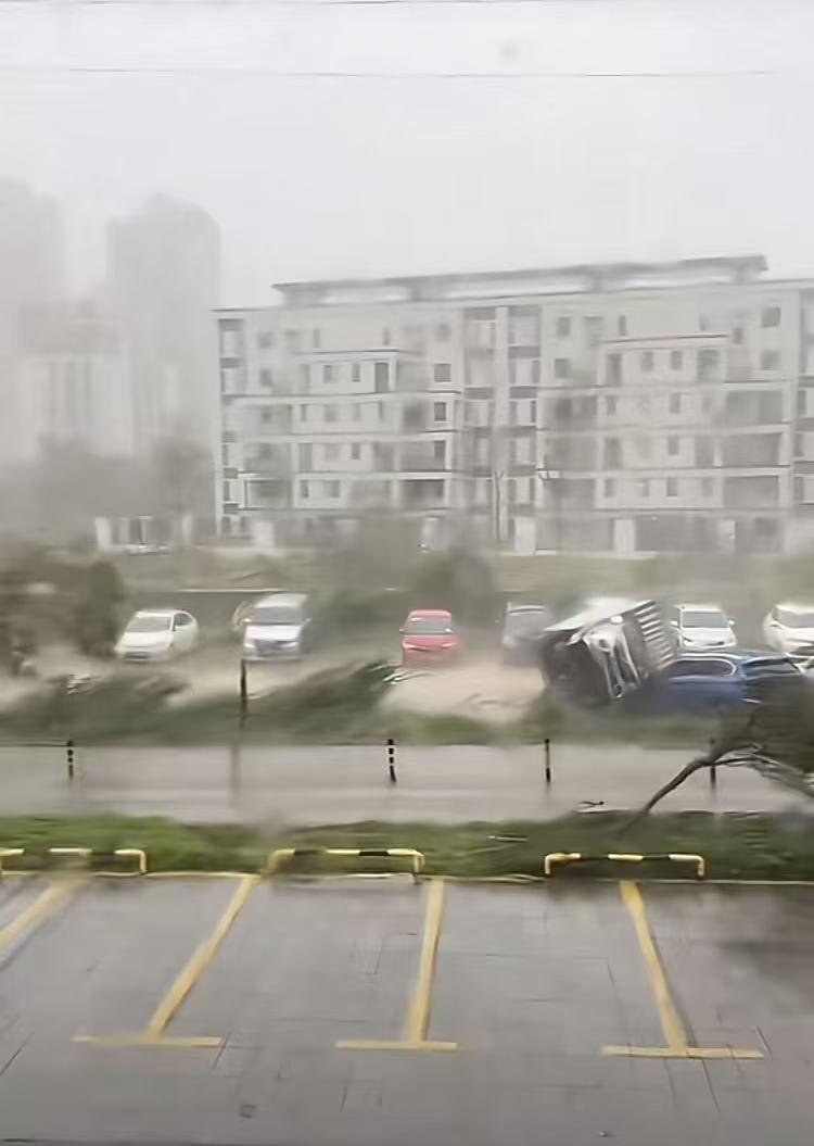 维持了77小时的超级台风“桦加沙”，损毁最严重的当属登陆点的阳江海陵岛，其次就是