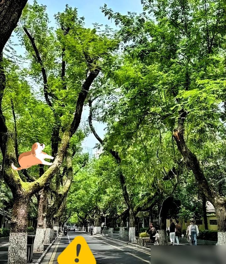 高温天硬扛？你扛的是命说真的我去年就吃过这个亏，我妈总觉得开空调费电，三十五