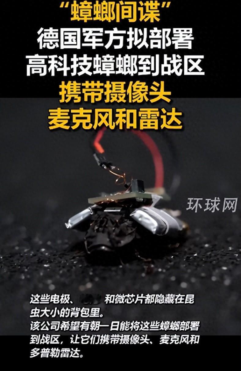 颠覆认知！德国将蟑螂改造成“战场间谍”，微型武器背后藏着伦理暗礁！蟑螂不再是