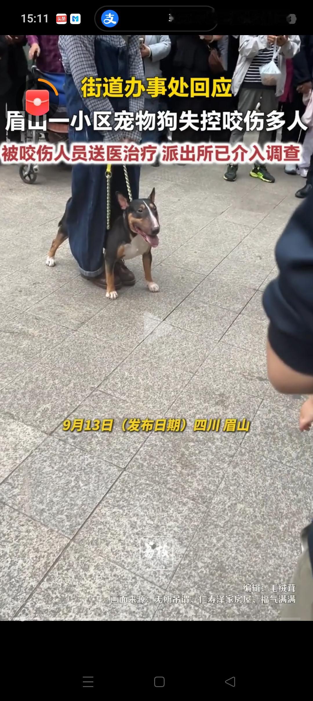 眉山宠物狗咬人后，女狗主人可能要面临3个窘境：1、被刑拘：从目前了解的信息来看