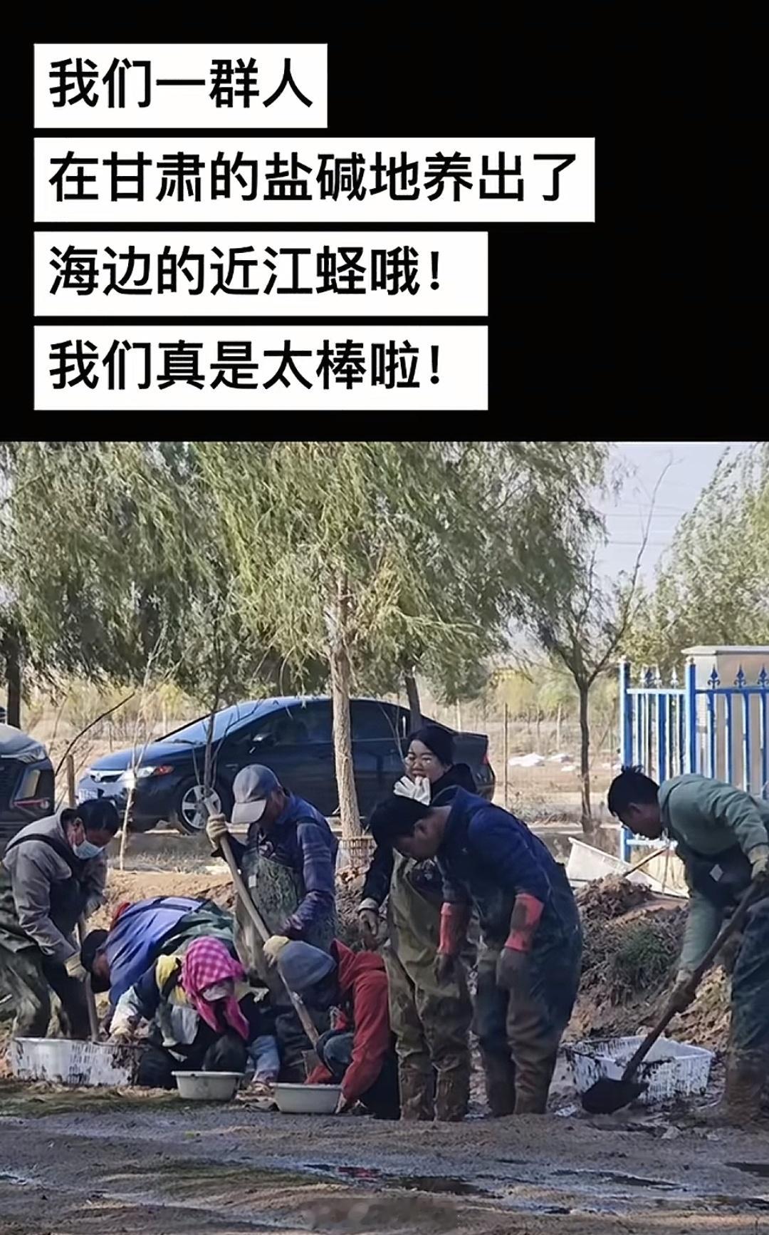 甘肃海鲜,这个组合听着就牛逼