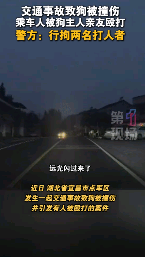 “严查到底！”10月11日报道，湖北宜昌，一女子晚上开车时，撞到了一条横穿马路的