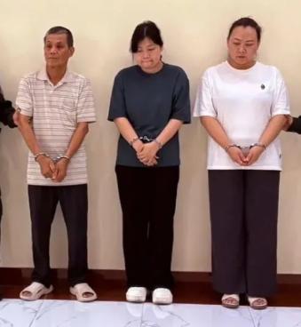一家三口齐上阵，把中国产的电力设备换成加拿大身份，骗了越南电力系统整整三年，拿下