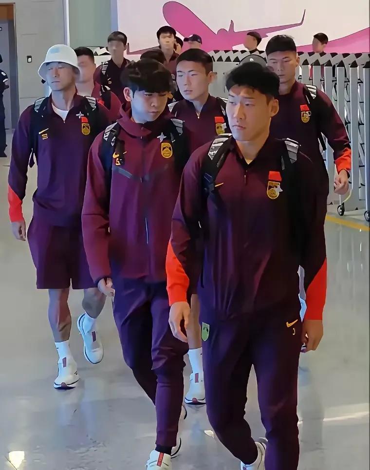 咱们的男足，雄赳赳气昂昂的回来了，据说还是包专机回来的！为啥我看着这群人，走起