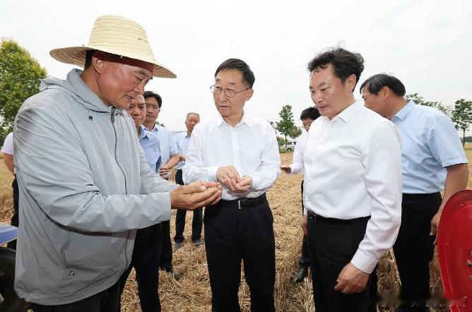 看河南河南省委领导走进田间地头督导调研“三夏”工作，与基层一线，与种粮