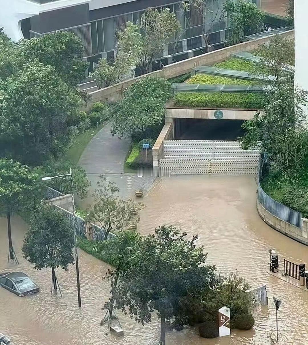 这物业费没白交