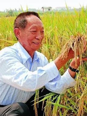 1994年，袁隆平把申请一千万科研经费的报告递了上去，李鹏当场签字批了。一年后，