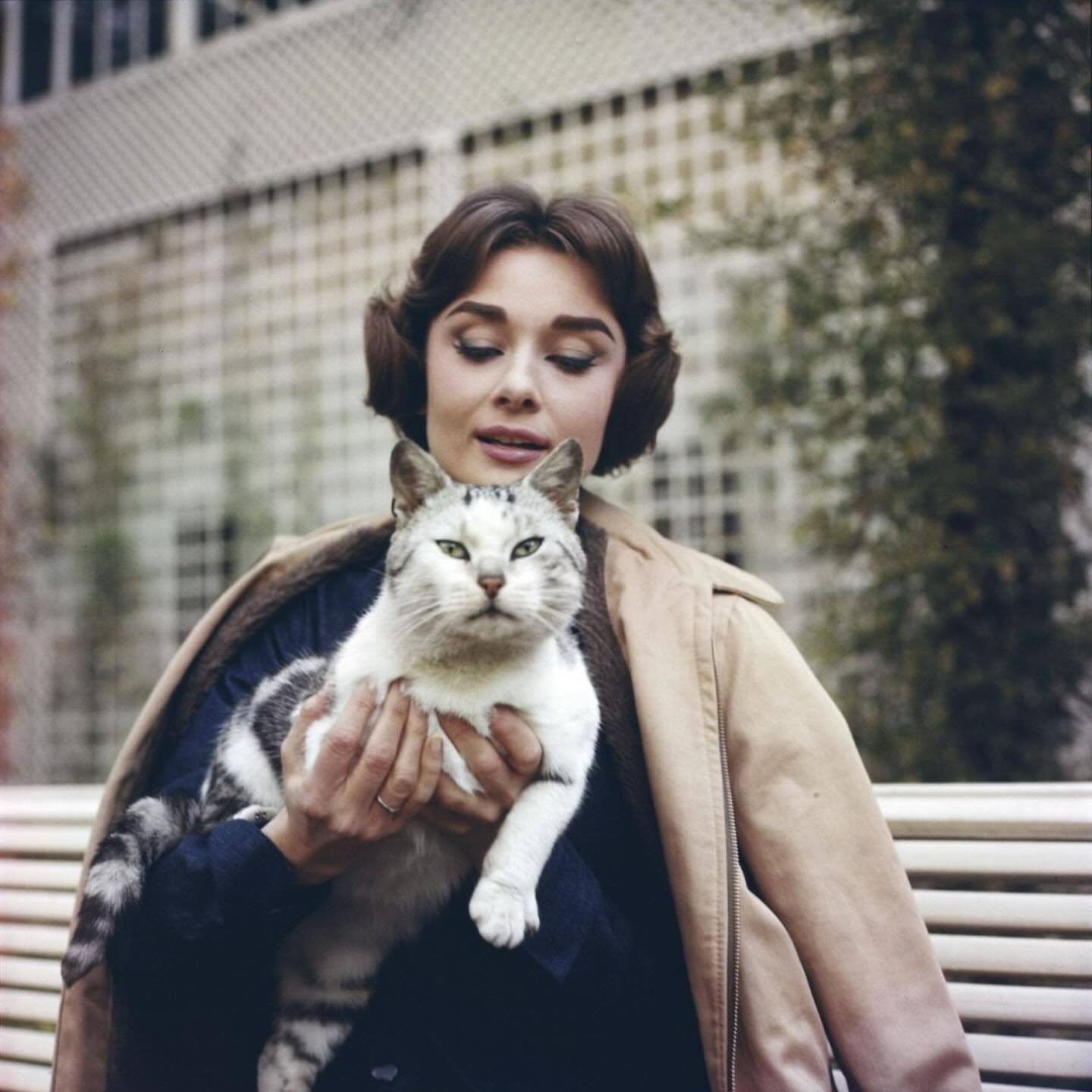 赫本与猫🐈‍⬛AudreyHepburnwithCat📸​​​