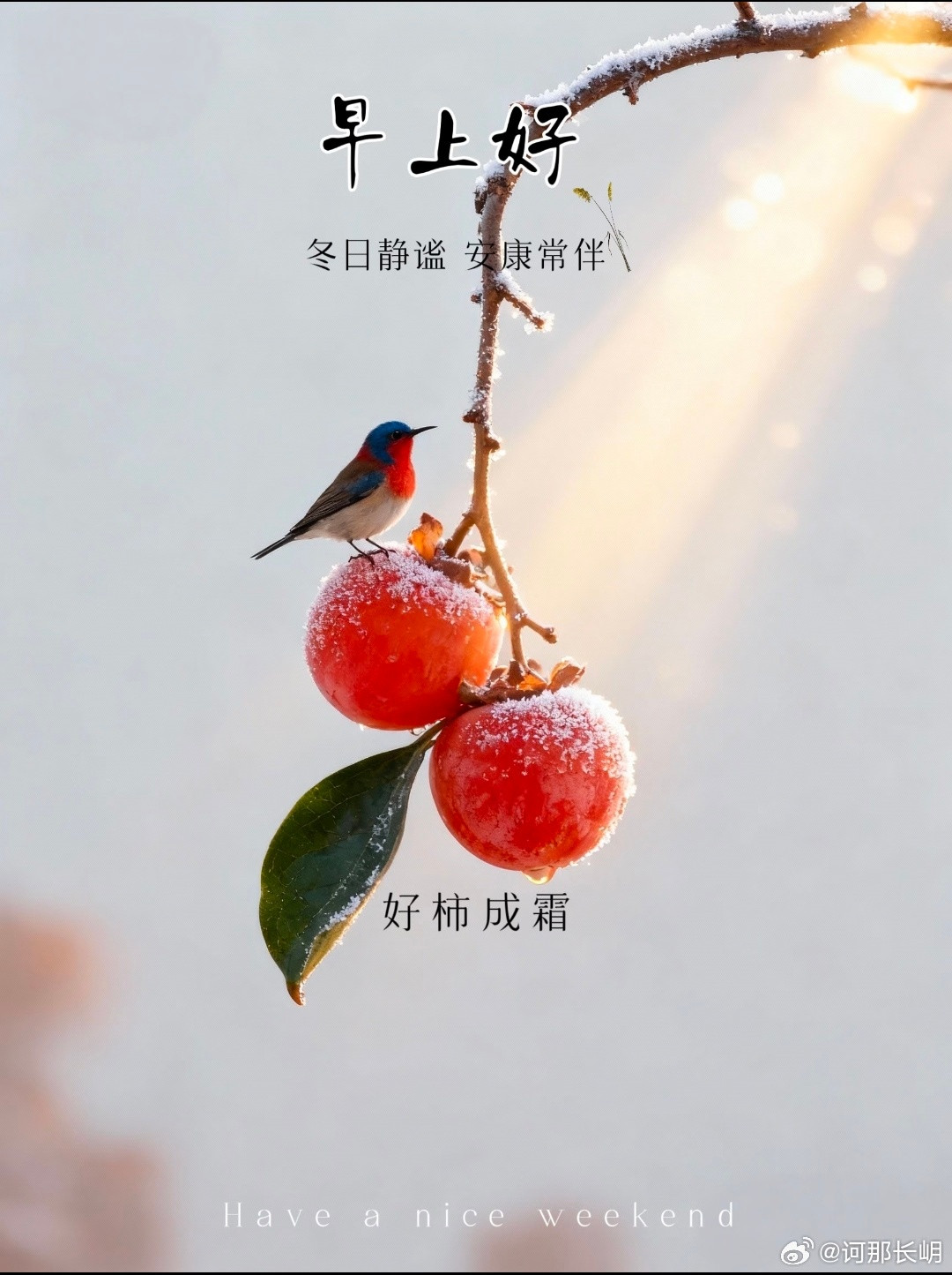 生活有冷有暖，愿你能被温柔以待，也能活成自己喜欢的样子。周五早安💓