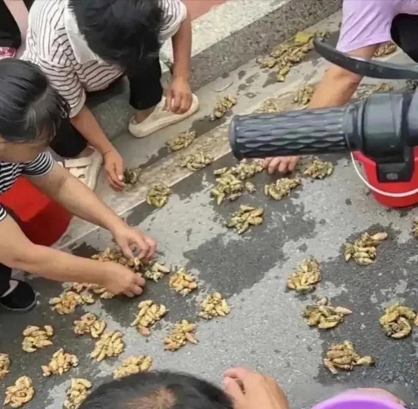 这富裕程度，让我羡慕不已
