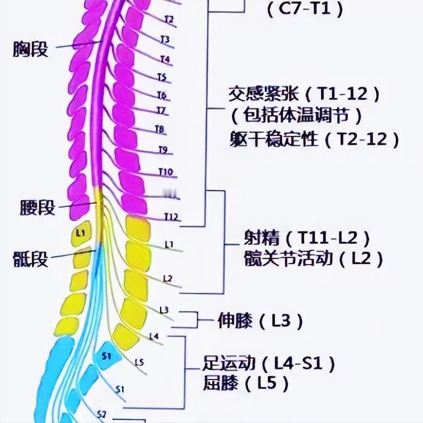 马尾神经损伤，这3大后遗症你有几个？有一个就够受的第一个后遗症：能走路，但是