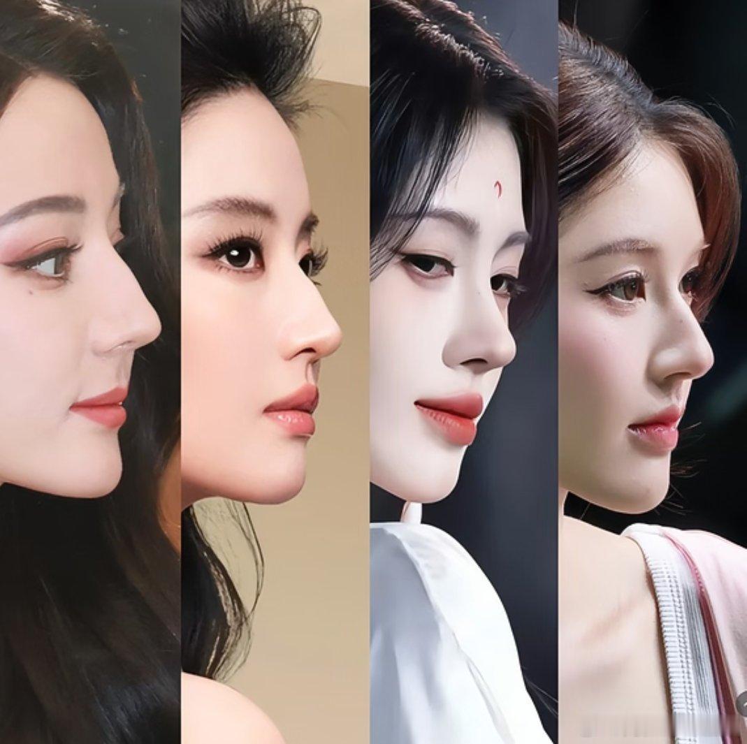 迪丽热巴刘亦菲鞠婧祎赵露思侧脸对比，赵露思赢了吧？