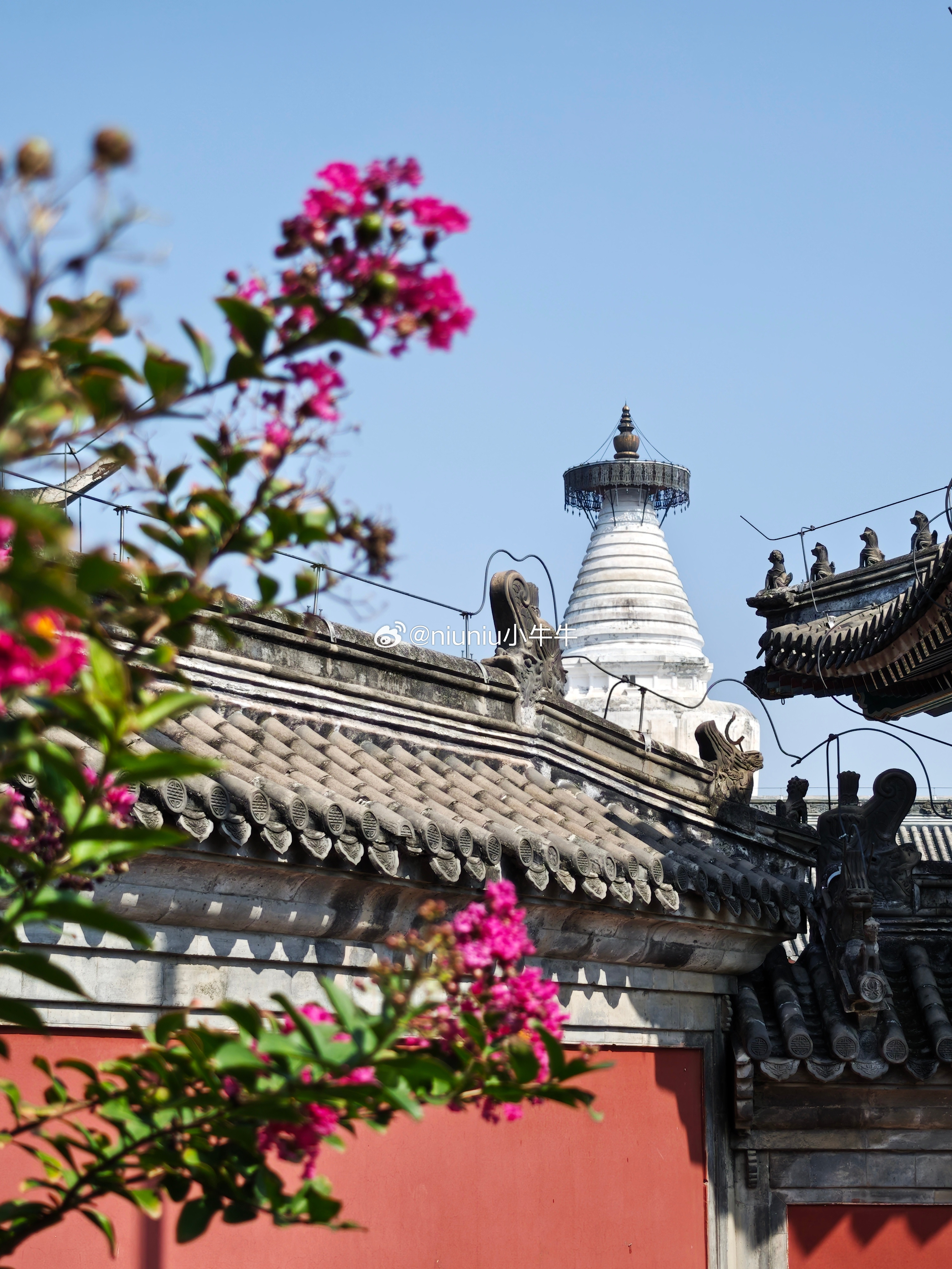 秋日北京白塔寺摄影​​​