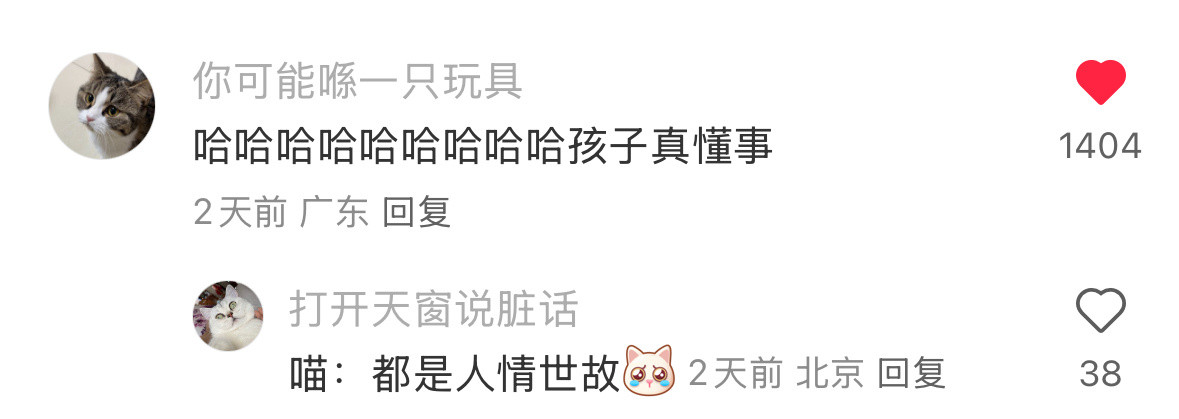 携猫条可令猪咪～