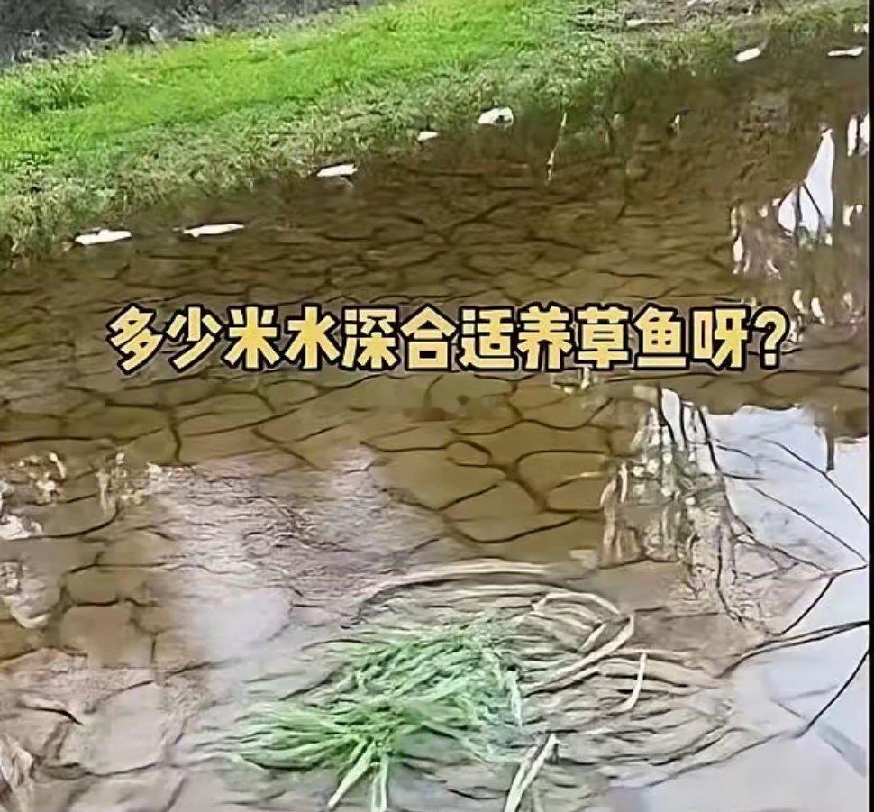 一句“有监控”差点给我cpu干烧了