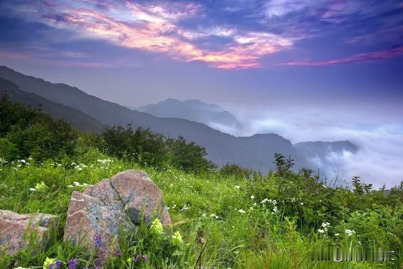 物业有没有权利规定不让外卖进小区，这事儿得分情况看。正常情况下，物业没权这么干