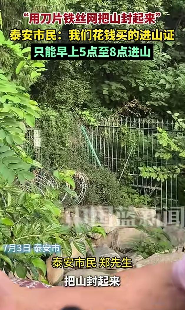 泰安市民郑先生接受记者采访时说：我们买的进山证，100块一张，只能在每天的五点到